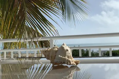 Image de 8 / 17-10 / 31 249 $. 00 p / n front de mer / vue sur l'océan, 3 chambres, 3 salles de bain, piscine