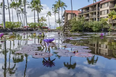 Image de Magnifique Papakea Resort