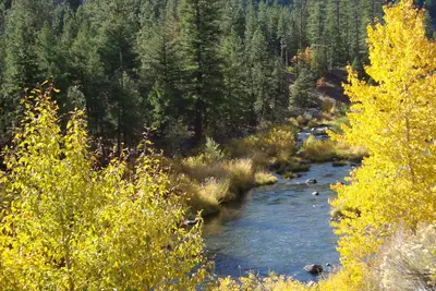 Image de River View Cabin ~ Sur 40 acres le long de la rivière de plumes sauvage et pittoresque