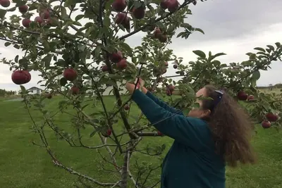Image de # 7 Cottage West Champlain face au lac, couchers de soleil sur le lac