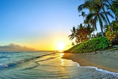 Image de Automne Vente Baby Beach Eco-House-Piscine Privee-1min. Marche À La Plage-5min Marche À La Ville