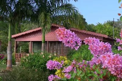 Image de Little Bay Beach House<br>