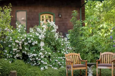 Image de Mossy Cobbles: Cottage romantique dans un cadre boisé