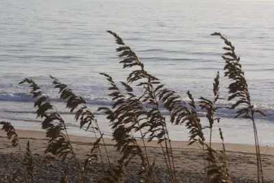 Image de Sea Breezes North - À quelques pas de la plage!