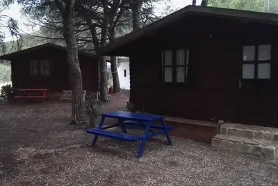 Image de Cabañas de Verón. Parmi les forêts de pins de la dehesa de Roche.