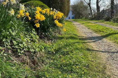 Image de Idéal pour se retrouver et explorer la côte du Pembrokeshire.