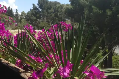 Image de Salon cuisine + lit double sur grande mezzanine, très calme, 150m mer, parking