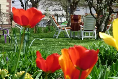 Image de Appartement à Siesbach près d'Idar-Oberstein dans le parc national de Hunsrück-Hochwald