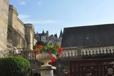 Image de Amboise Grand Appartement 3* étoiles, Charme, Vue Château(Wifi, jardin, Parking)