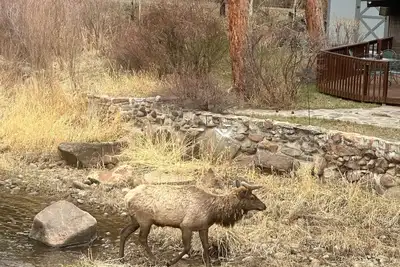 Image de Wendy Cottages, (Toujours) la grande pêche, terrasse privée et bain à remous