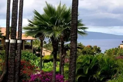 Image de Charmant Wailea Ekahi Condominium