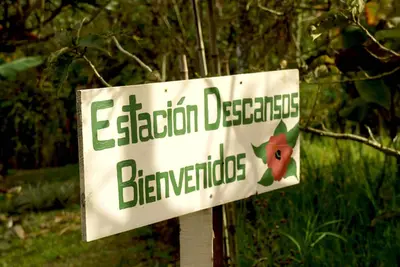 Image de Une station dans votre chemin de vie que vous n'oublierez jamais et voudrez revenir