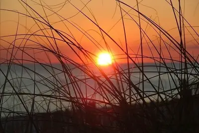 Image de 2br / 2ba sur port / canal, 1er. Flr. * Configuration Gratuite De La Plage * mars-octobre *