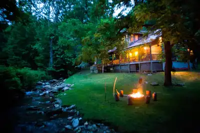 Image de Animaux acceptés par BoldStream