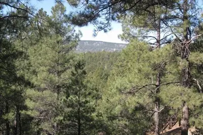 Image de Meilleures critiques de toute annonce sur Vrbo! - Cabine entièrement rénovée!