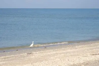 Image de 10 personnes - Disponible toute l'année - Immense privée Accueil