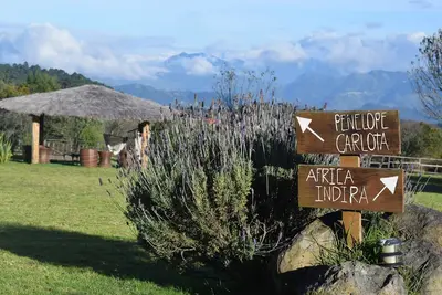 Image de Casa Kitsch, un paraíso en la Sierra de Puebla