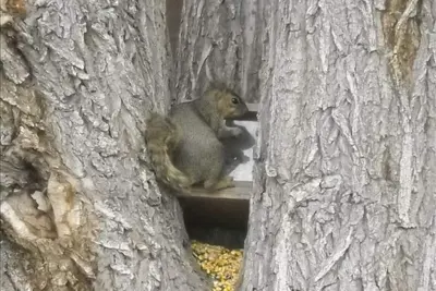 Image de Sur la rivière de la ville! Kayak / Radeau de Back Door Great Location! ! !