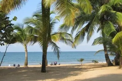 Image de Superbe condo en bord de mer / jardin avec vue sur l'océan / accès à la plage
