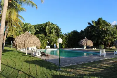 Image de Villa au bord de la mer dans un jardin de palmiers tropicaux avec piscine privée Tv Bundesliga 1/2