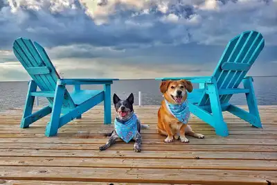 Image de Bayfront Cottage, Fish from the Dock, Screen Porch, belle 4 acres d'intimité