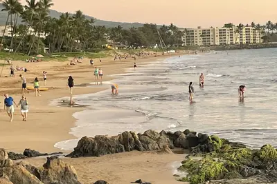 Image de Taux de printemps réduits!