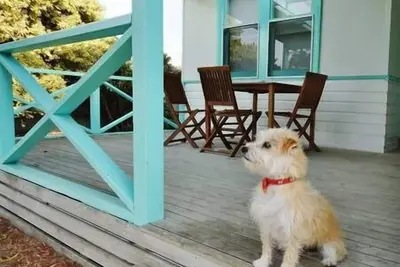 Image de Tobruk Cottage Robe Sa