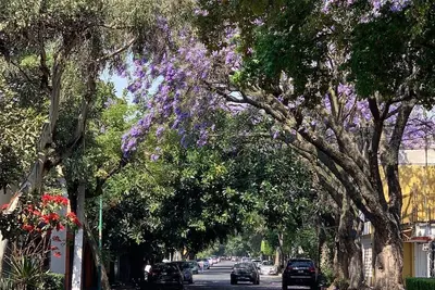 Image de Joli Duplex Au Coyoacan Du Xvi Siècle