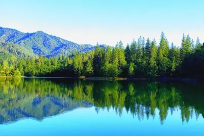Image de 'Château de Shasta Lake' - Green