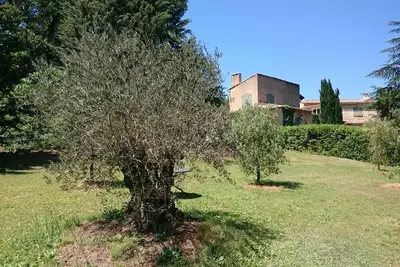 Image de Magnifique villa provençale à 5 min d'Aix-en-Provence