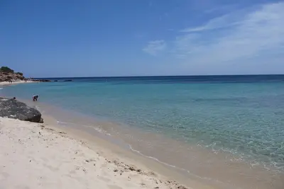Image de À 100 mètres de la mer villa entourée de verdure