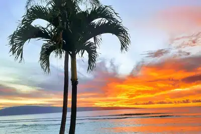 Image de Oceanfront at Kuleana - 5 étoiles avis - Rez-de-chaussée