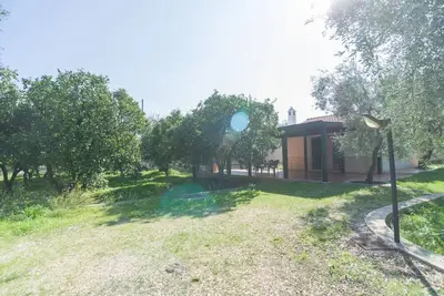 Image de Villa individuelle avec grande véranda extérieure couverte entourée d'une belle plantation d'agrumes