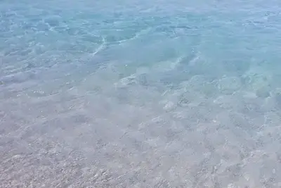 Appartement à deux pas de la mer.