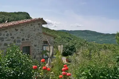 Image de enveloppé dans le parfum des fleurs et d'herbes méditerranéennes