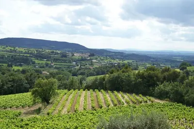 Image de Gîte en Provence au coeur des vignes