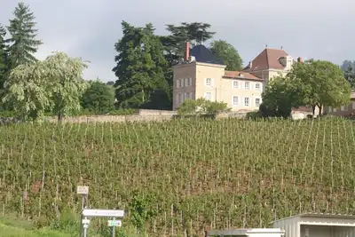 Image de Cèdre-Monceau, au cœur des vignes, séjours en famille, séminaires, événements.