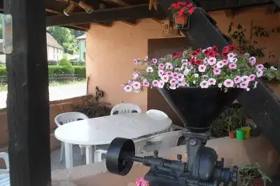 Image de Gite Au Jardin De Mon Enfance 4 personnes  Vallée de Munster