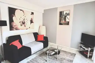 Image de Cannes, Bel Appartement Renove A 30 Metre Des Plages De La Croisette