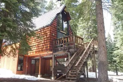 Image de Bear Valley s'amuser dans les arbres