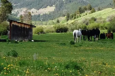 Image de Yellowstone Park - Cabin On Private Creek, autres logements, à proximité des activités