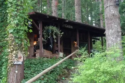 Image de Chalet unique dans les bois près de Mont Saint- Helens
