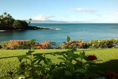 Image de Napili Point A16-Your Island Paradise - Entièrement climatisé