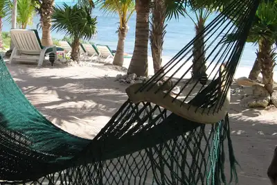 Image de Villa en bord de mer avec piscine et cascade: magnifique plage de sable