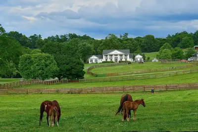 Image de Manoir Queenslake et ferme équestre