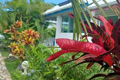 Image de Bungalows dans jardin créole classés 2**