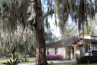 Image de Seagrove House - Passez chaque week-end ou restez tout l'été!