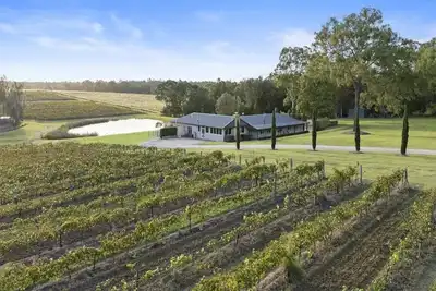 Image de Vico Monti - Homestead parmi les vignes
