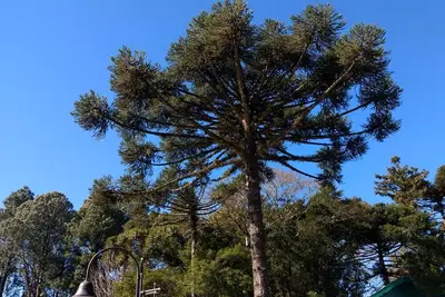 Image de Ajustement incroyable avec 2 suites et Wifi, près du centre. Dans le quartier bavarois