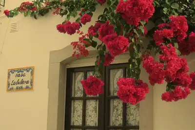 Image de Maison de ville calme, dans le centre ville, terrasse de toit avec vue de rêve